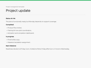 Project update sample with Status, Completed, Risks, and Next update sections.
